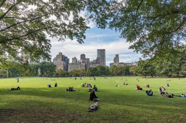 NEW YORK, ABD - OCT 6, 2017: İnsanlar New York, ABD 'deki Sheep Meadow Central Park' taki ağaçların önünde dinleniyor.