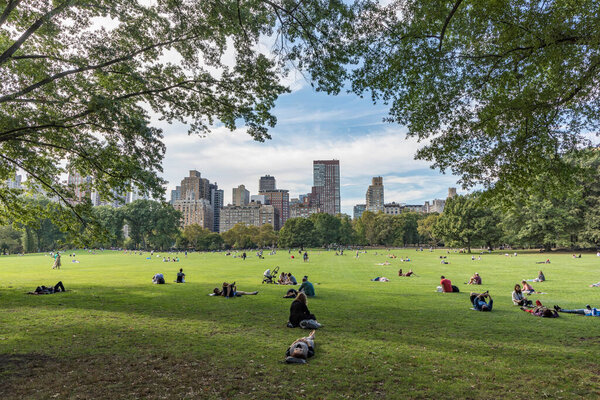 NEW YORK, USA - OCT 6, 2017: people relax in front of trees at Sheep Meadow Central Park in New York , USA.
