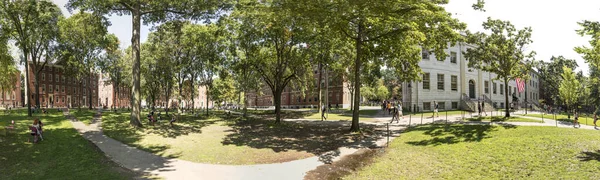 Cambridge Usa 2017年9月13日 学生と観光客は 米国マサチューセッツ州ケンブリッジのハーバード大学キャンパスの古いオープンハートであるハーバード ヤードの芝生の椅子に休む — ストック写真