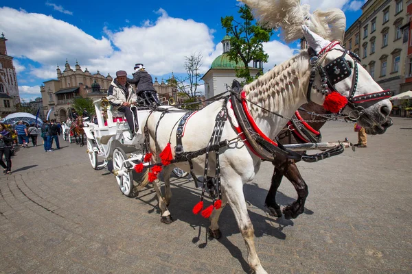 波兰克拉科夫 2014年5月4日 波兰克拉科夫市集广场 Market Square 的马匹拉车 标准化的颜色 全长不超过7 最多可骑两匹马 — 图库照片