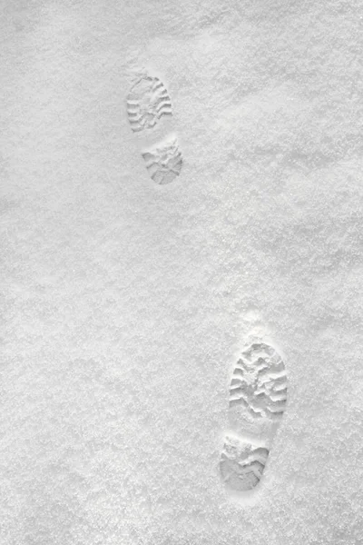 Footsteps in the blue snow