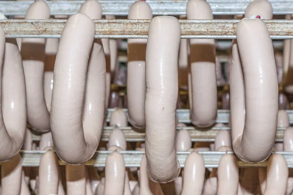 Les Saucisses Sèchent Après Cuisson Eau Chaude Dans Abattoir — Photo