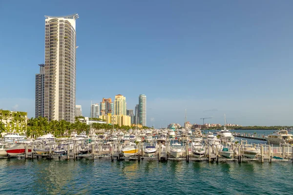 Skyline Miami Cênica Durante Dia Com Céu Azul — Fotografia de Stock