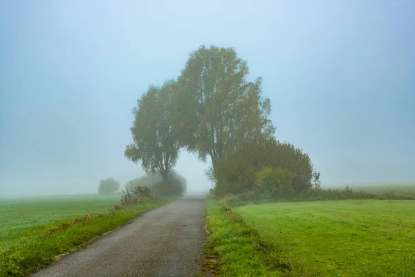 Живописное Дерево Тумане Велосипедном Маршруте Altmuehltal Баварии Германия — стоковое фото