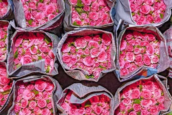 Bangkok Tayland Daki Çiçek Pazarında Sunulan Güller — Stok fotoğraf