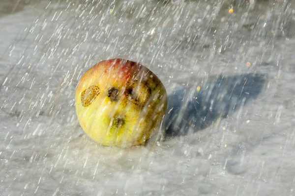 Yağmurda Taze Elma Yüze Benzeyen Deformasyonlar — Stok fotoğraf