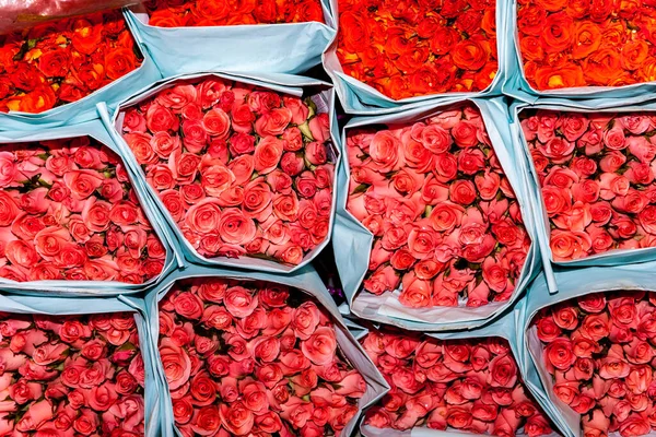 Roses Offertes Marché Nuit Des Fleurs Pak Klong Talat Bangkok — Photo