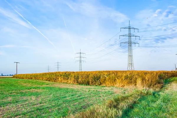 Soluppgång Med Fältet Och Elektriska Pylon Blå Himmel — Stockfoto