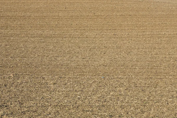 Вспаханное Поле Красивом Свете Сельскохозяйственный Фон — стоковое фото