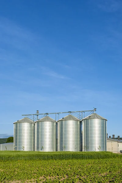 Silos Beautiful Landscape Green Fields Spring Time — Stock Photo, Image