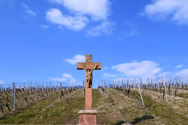 Vineyard Rheingau Area Old Sandstone Crucifix Jesus Blue Sky — Stock Photo, Image