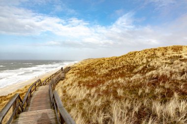 scenic landscape in Sylt with ocean, dune and empty beach in spring time clipart
