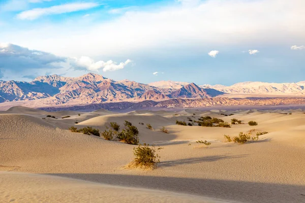 Frumoase Apartamente Mesquite Deșertul Din Valea Morții Lumina Apusului Soare — Fotografie, imagine de stoc