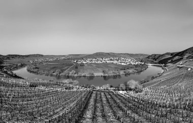 Manzaralı Moselle nehir döngüsü. Almanya, Leiwen 'den Trittenheim köyü görüldü.