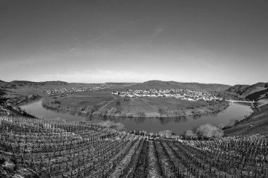 Manzaralı Moselle nehir döngüsü. Almanya, Leiwen 'den Trittenheim köyü görüldü.