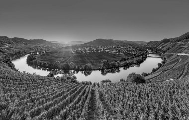 Manzaralı Moselle nehir döngüsü Leiwen, Trittenheim, Almanya