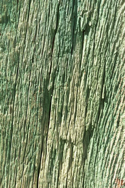 old plaster wall textured with lines in green color