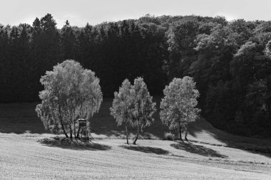 scenic Taunus landscape with forest and fields in beautiful afternoon light