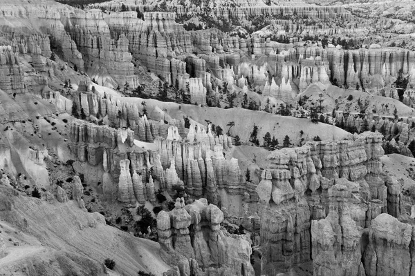 Canyon Bryce Con Spettacolari Hoodoos All Alba — Foto Stock