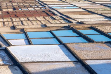 İspanya, Lanzarote 'deki Janubio' da manzaralı tuz madenleri