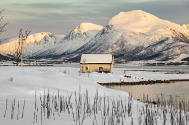 hut in the landscape at Lofoten Islands in Norway in winter and sunrise, Norway