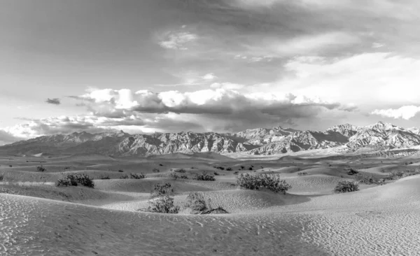 Όμορφα Διαμερίσματα Mesquite Στην Έρημο Κοιλάδα Του Θανάτου Στο Φως — Φωτογραφία Αρχείου
