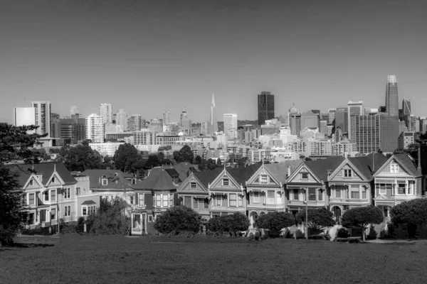 San Francisco Old San Francisco Historic Architecture Ladies Square Малюнки — стокове фото