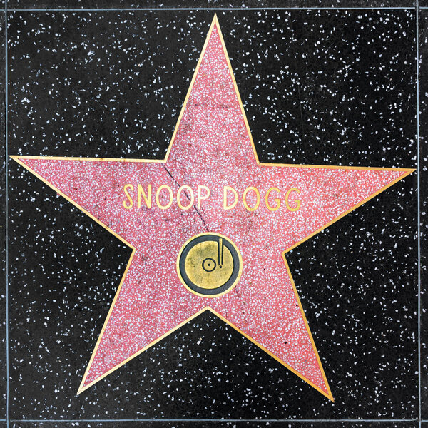 Los Angeles, USA - March  5, 2019: closeup of Star on the Hollywood Walk of Fame for Snoop Dogg.