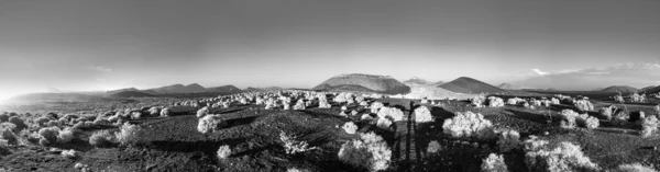 Вулканічну Лансароте Timanfaya Національний Парк Ранковому Світлі — стокове фото