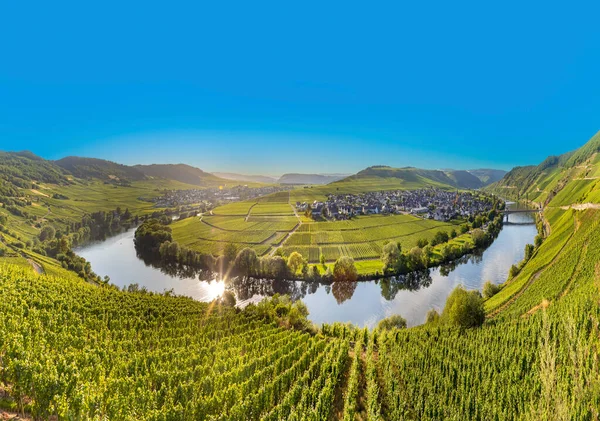 Natursköna Mosel Flod Loop Leiwen Trittenheim Tyskland — Stockfoto