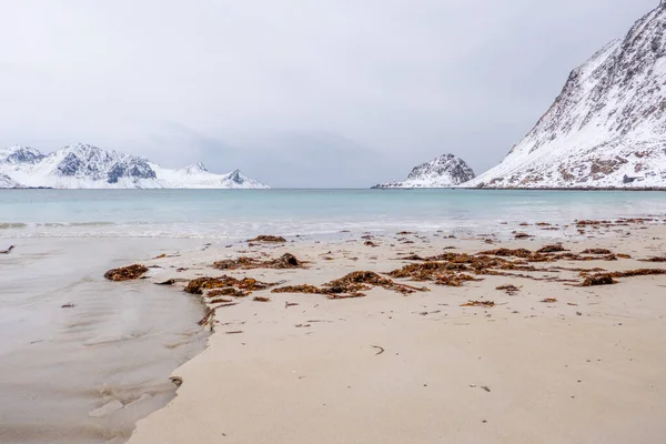 Vista Panorámica Océano Helado Las Islas Lofoten Noruega —  Fotos de Stock