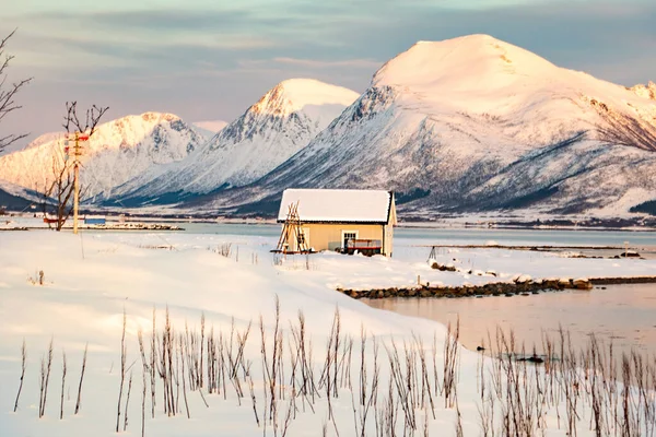 Sneeuw Landschap Het Eiland Lofoten Met Een Huisje Aan Bevroren — Stockfoto