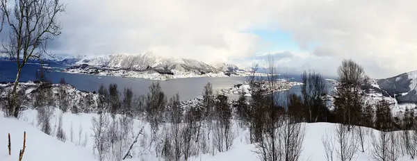 겨울철에 노르웨이에 제도의해 안선을 바라보는 — 스톡 사진