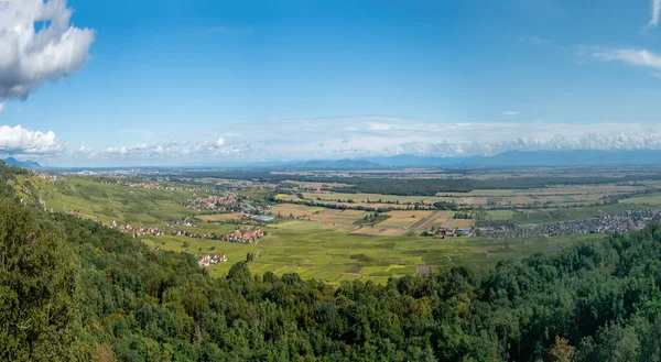 Vista Panorâmica Notre Dame Schauenberg Para Região Alsácia Aldeia Pfaffenheim — Fotografia de Stock