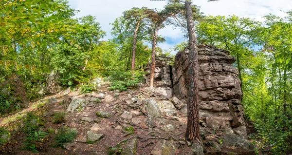 Landschaft Den Vogesen Elsass Frankreich Mit Felsen Und Wilden Wäldern — Stockfoto