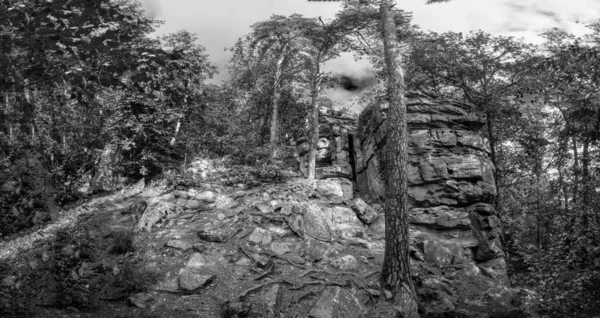 Landschaft Den Vogesen Elsass Frankreich Mit Felsen Und Wilden Wäldern — Stockfoto