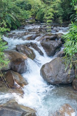 Batı Tamarindo Guanacaste, Kosta Rika 'da şelaleli küçük bir dere.