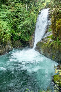 Cloudbridge, Kosta Rika 'nın Talamanca dağlarında 1550 metreden 2600 metreye (5085-8530 feet) kadar uzanan özel bir doğa rezervi.