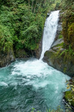 Cloudbridge, Kosta Rika 'nın Talamanca dağlarında 1550 metreden 2600 metreye (5085-8530 feet) kadar uzanan özel bir doğa rezervi.