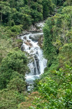 Cloudbridge, Kosta Rika 'nın Talamanca dağlarında 1550 metreden 2600 metreye (5085-8530 feet) kadar uzanan özel bir doğa rezervi.