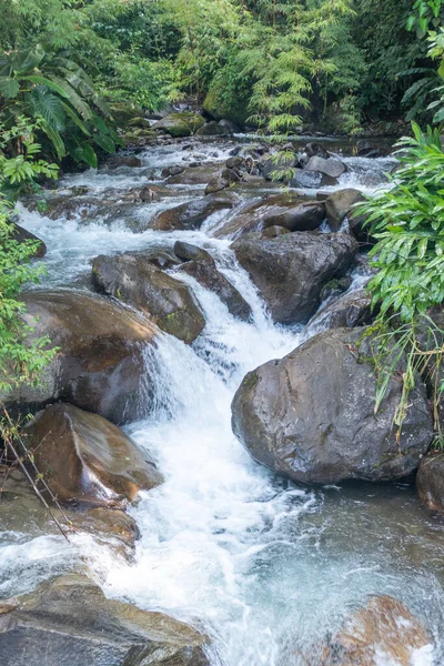 Маленька Струмка Водоспадом Біля Міста Гуанакасте Провінція Тамариндо Коста Рика — стокове фото