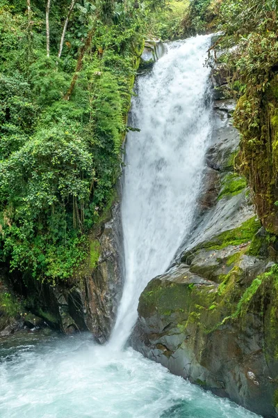 克劳德桥 Cloudbridge 是哥斯达黎加塔拉曼卡山的一个私人自然保护区 位于海拔1550米至2600米 5085 8530英尺 — 图库照片