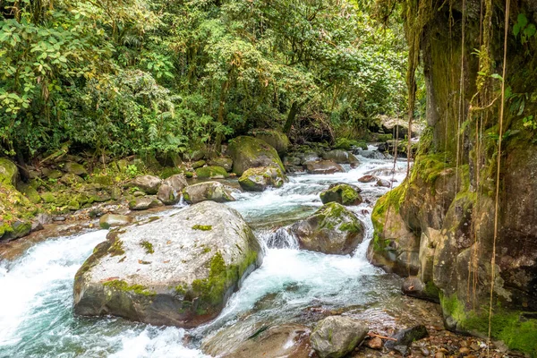 クラウドブリッジは コスタリカのタラマンカ山脈の1550Mから2600M 50858530 まで続く個人の自然保護区です — ストック写真