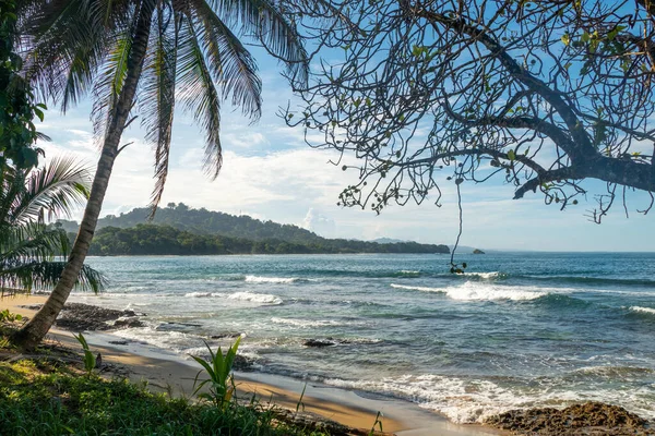 Γραφική Παραλία Του Coles Στην Καραϊβική Πλευρά Της Κόστα Ρίκα — Φωτογραφία Αρχείου