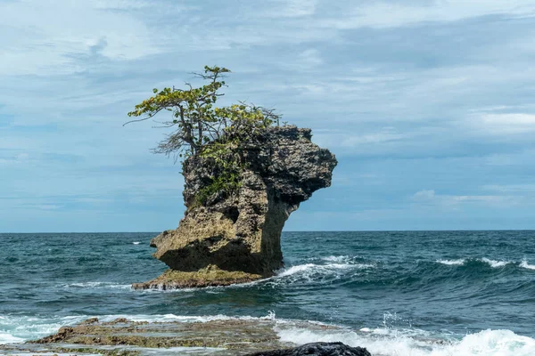 Malý Skalnatý Ostrov Malým Tropickým Stromečkem Vrcholu Obklopený Modrou Mořskou — Stock fotografie