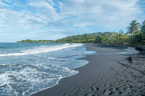 Plage Noire Pittoresque Près Pavones Costa Rica Avec Forêt Tropicale — Photo