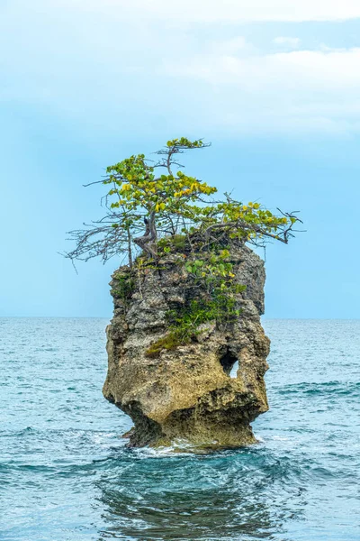 青い海に囲まれた上に小さな熱帯の木がある小さな岩の島コスタリカ — ストック写真