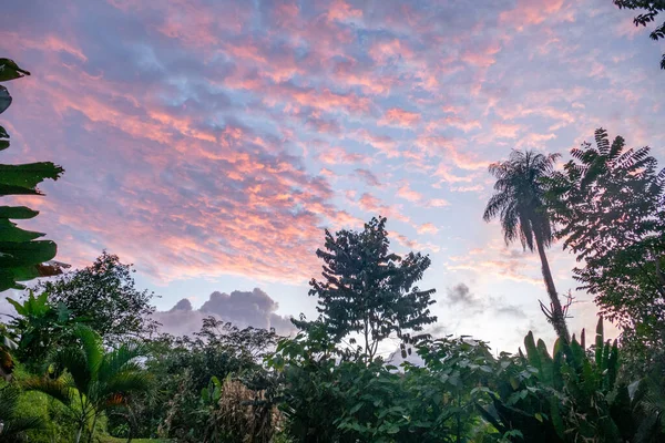 Όμορφο Ηλιοβασίλεμα Στη Ζούγκλα Της Κόστα Ρίκα — Φωτογραφία Αρχείου