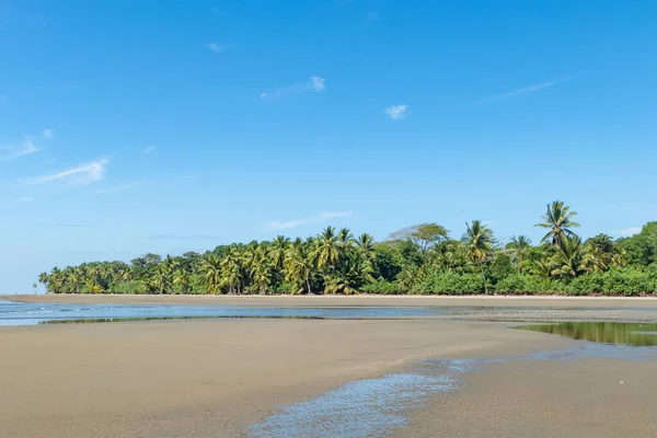 Spiaggia Sabbia Tropicale Costa Rica Con Giungla Sullo Sfondo — Foto Stock