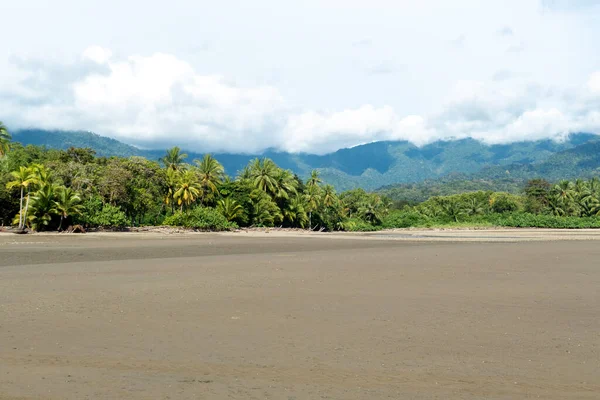 Tropical Sandy Beach Costa Rica Jungle Background — Stock Photo, Image